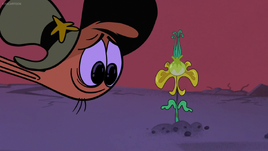 Flower of Rebirth