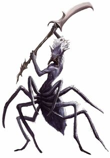 Drider2