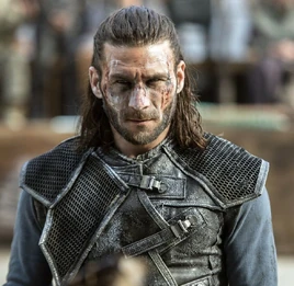 Roan-s3the100