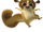 Morty (Madagascar)