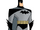 Bruce Wayne (DCAU)