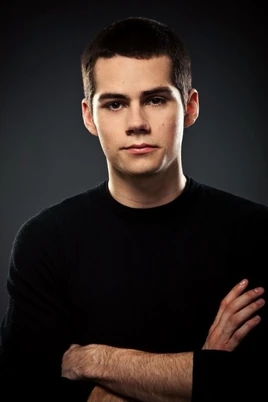 Stiles Infobox