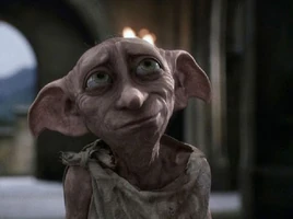 Dobby Infobox