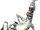 Marty (Madagascar)