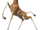 Melman (Madagascar)