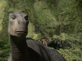 Aladar