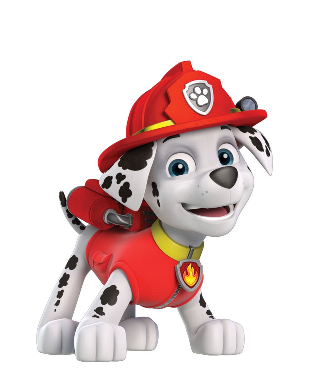 Marshall La Pat Patrouille: Le Film Marcus (PAW Patrol) | Wiki Héros | Fandom