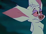 Bartok