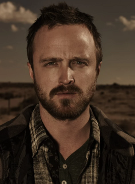 Jessepinkman-heros