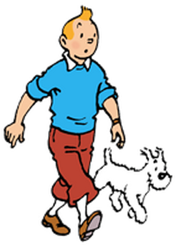Tintin, Wiki Héros