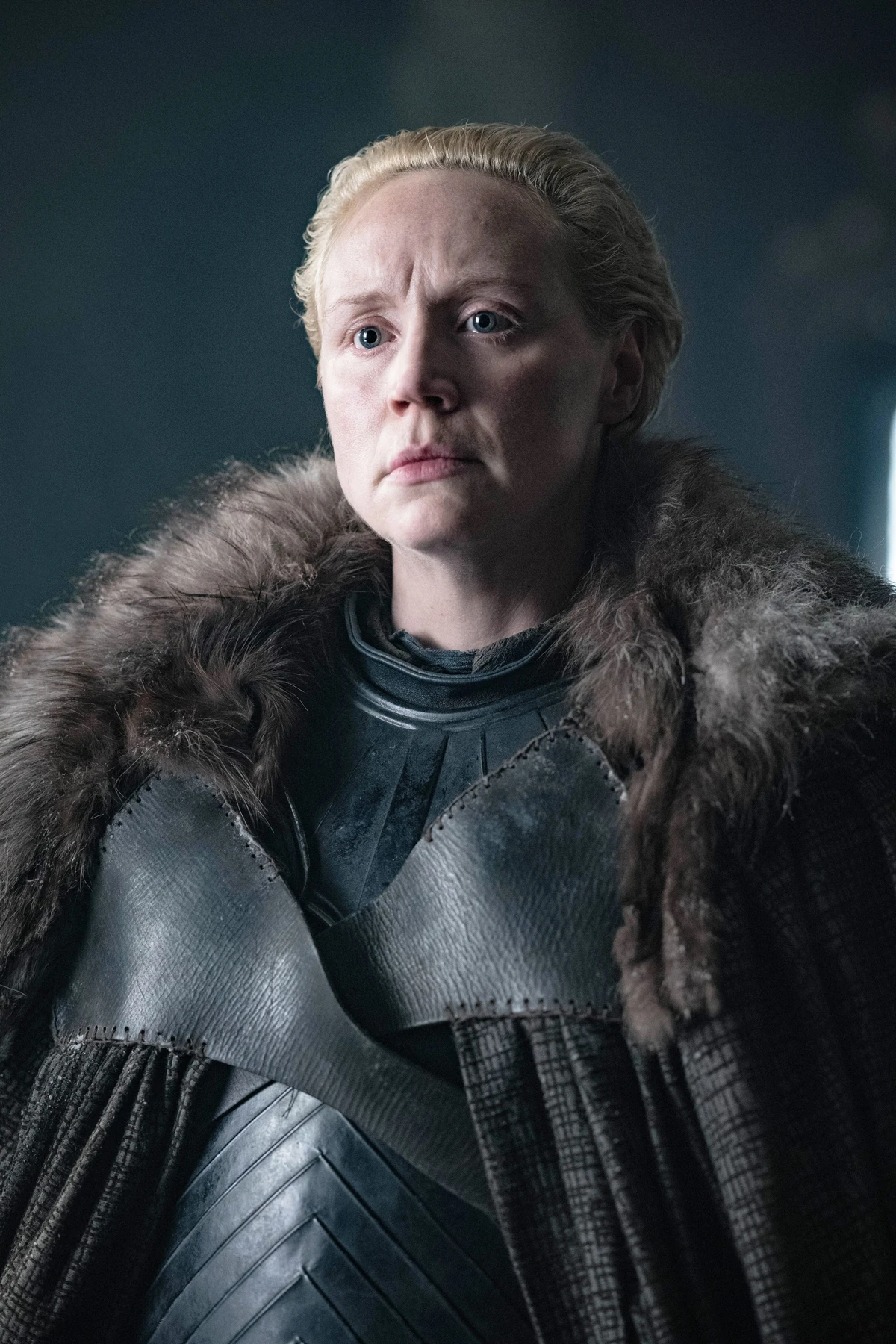 Brienne De Torth Interprété Par Brienne de Torth | Wiki Héros | Fandom