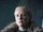 Brienne de Torth
