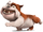 Luiz (Rio)