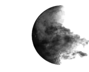 5dd73319cddc616e909f9cf3-removebg-preview