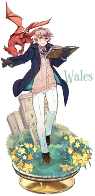 Wales' current outfit in a 2022 illustration