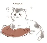 Korea cat