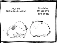 Netherland's rabbit talks with Pochi.