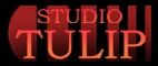 Studio Tulip.jpg