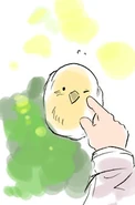 The bird in Prussia's Blog.