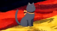 Germany cat
