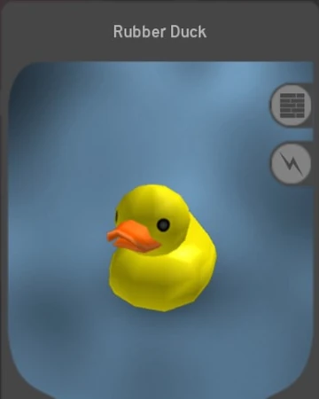 dressed up rubber ducks