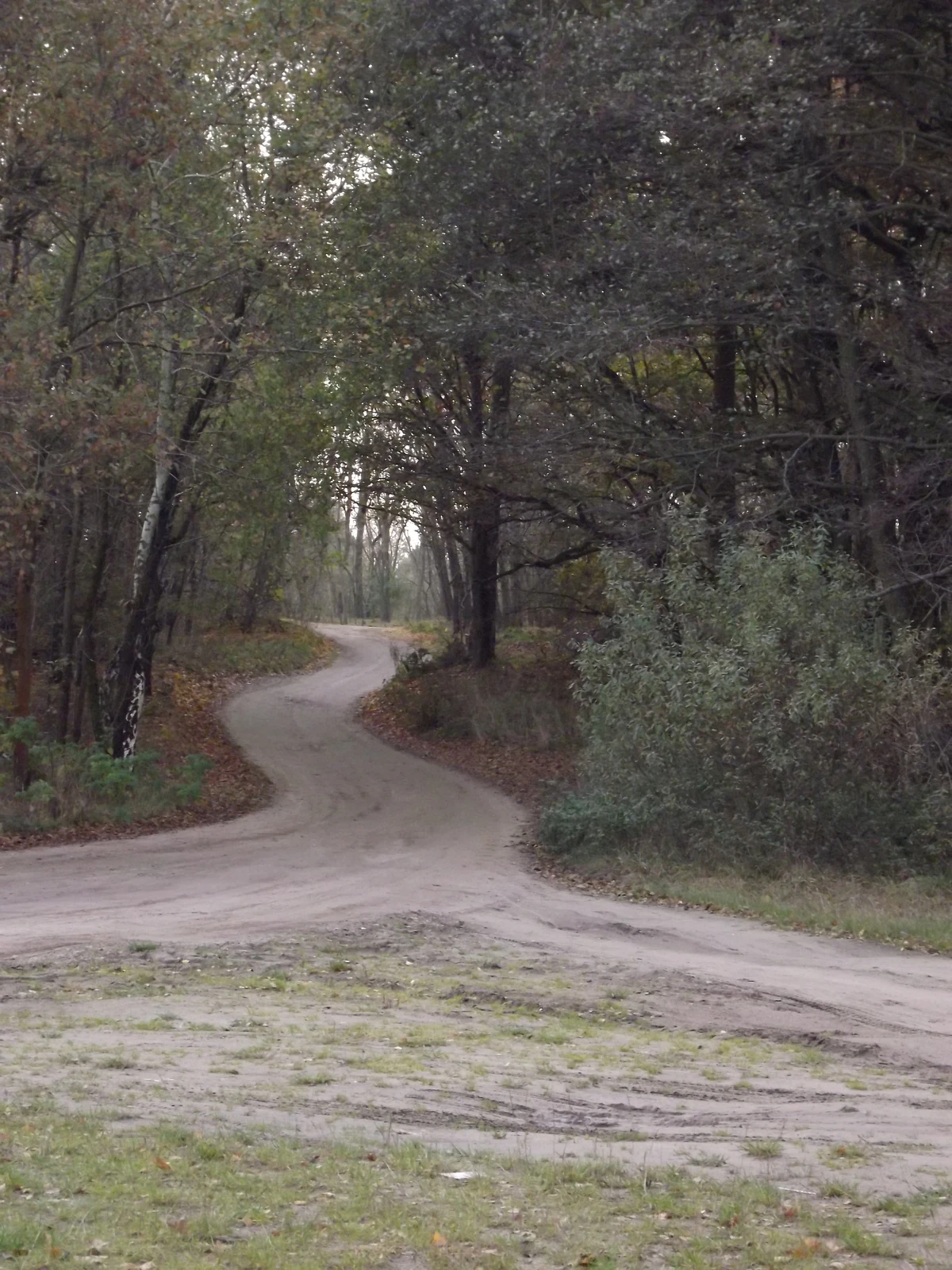 Hekate Hexen Wiki Fandom