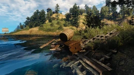 Tw3 coast of wrecks quest