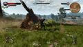 Screenshot, Geralt im Kampf mit dem Königsgreif, early demo von The Witcher 3