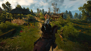 Witcher 3 Condyle (2)