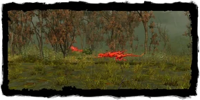 Places Wyvern Island