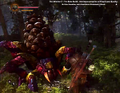 Geralt im Kampf mit einer weiteren Art der Krabbspinnen-Spezies in The Witcher 2