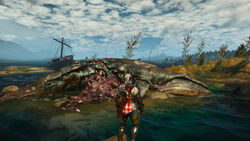 Tw3 coast of wracks - stranded whale.jpg