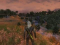 Geralt erblickt die Felder