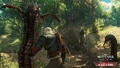 Geralt trifft auf Skolopendomorphe