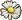 Substances White myrtle petals