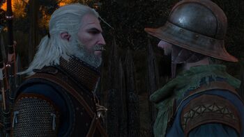 Tw3 geralt vs hans