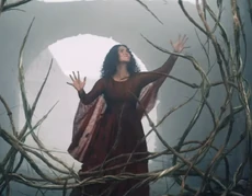 Triss schützt das Tor