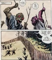 Ein Vran und ein Bobołak