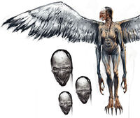 Harpy01 ConceptArt