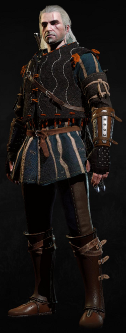 Tw3 armor ard skellig aketon.png