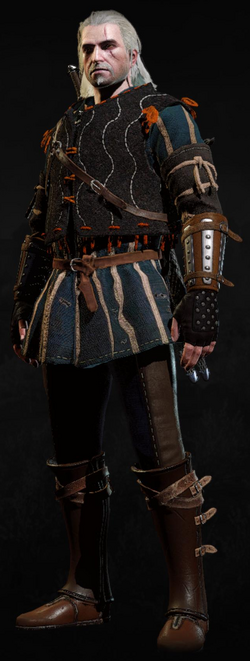 Tw3 armor ard skellig aketon