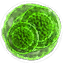 Tw3 mutagen green greater.png