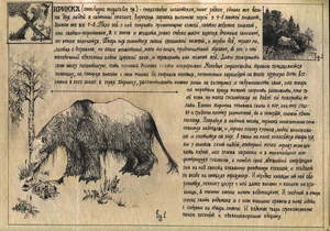 Fanart einer Hirikka von der russischen Andrzej Sapkowski-Webseite