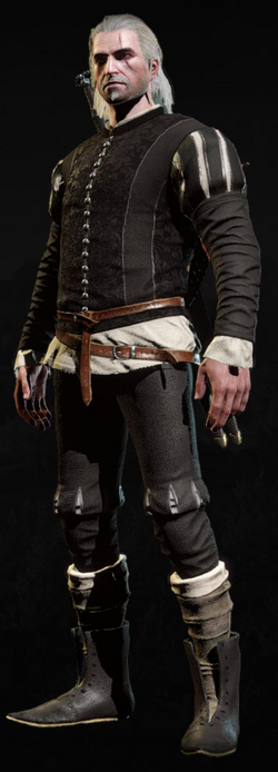Tw3 armor elegant courtiers doublet 2.png