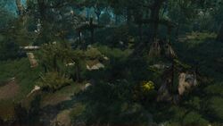 Tw3 baw scavenger hunt grandmaster wolven gear (1).jpg