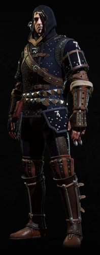 Tw3 armor grandmaster feline gear
