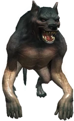 Bestiary Werewolf full