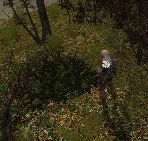 Auto loot.jpg