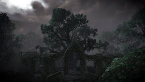 Freyas Garten Offizielles Hexer Wiki Charaktere Monster Orte Alchemie Kampf Quests