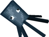Squid